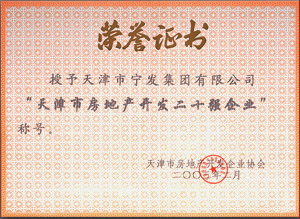 2003年天津市房地產開發二十強企業稱號